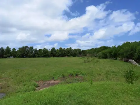 Terreno en Venta de 7099,0 m2