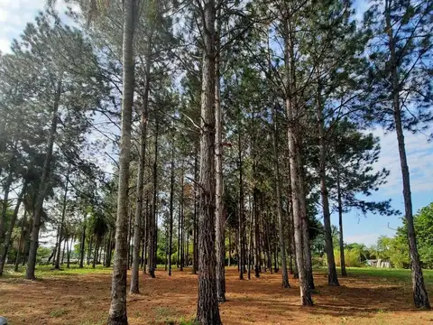 Terreno en Venta en Corrientes, USD 160.000