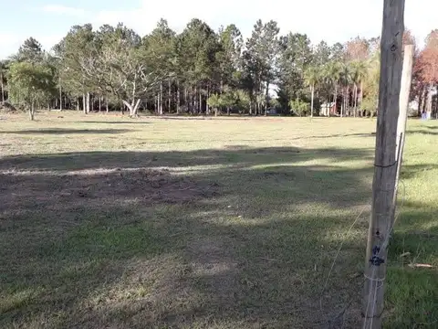 Terreno en Venta de 11301,0 m2