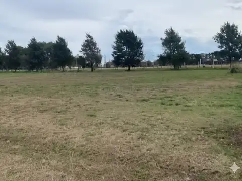 Camino A Carlos Keen