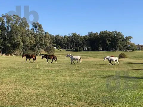 Casa en Chacras del Paraná