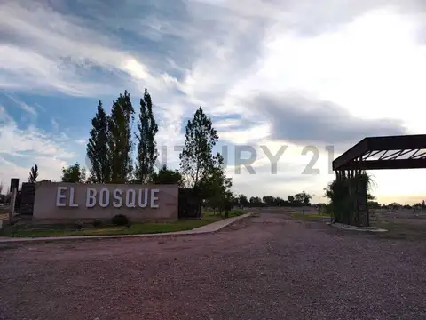 Lote en Venta B° El Bosque II-Rodeo de la Cruz-ID:253279