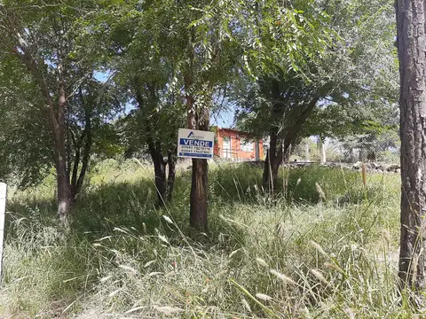 Terreno en Venta 14  mts Frente