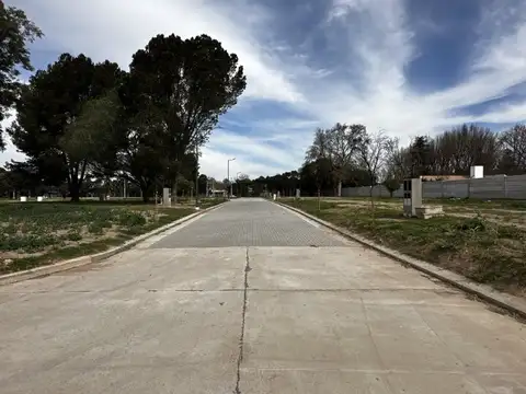 Santa Elena 1051