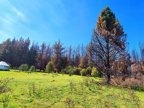 (040) TERRENO en Mallin Alto de 1/2 Hectárea