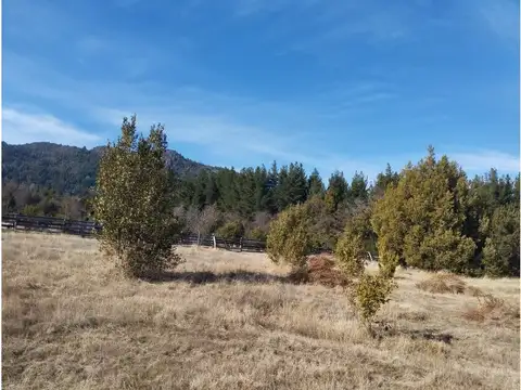 Por el saturnino , Piso No definido