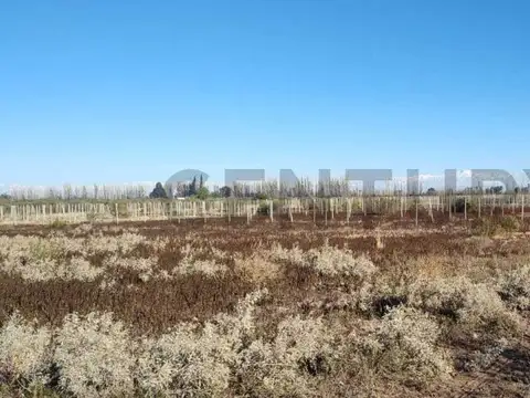 FINCA EN VENTA EN JUNIN
