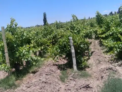casares y carril centro , Piso 0