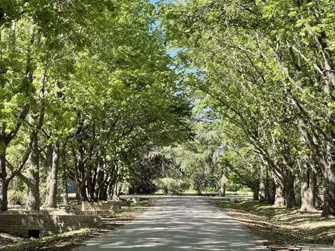 Ruta Provincial 6 Km. 161,5