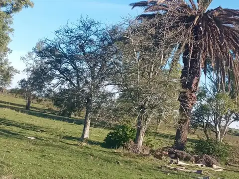 Ruta Nac 18 Km 225