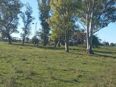 Campo en General Campos