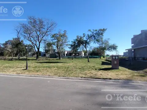 Excelente Lote interno en san juan chico. Posesión inmediata