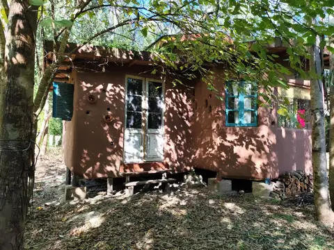 Sábalos 100