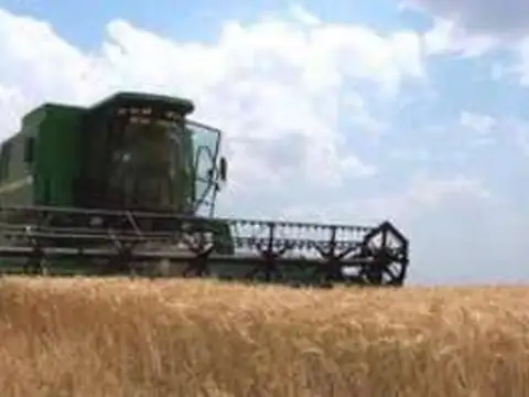 MAIPU 1800 Has MIXTAS