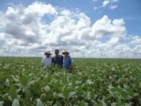 MAIPU 1800HAS -  MIXTAS