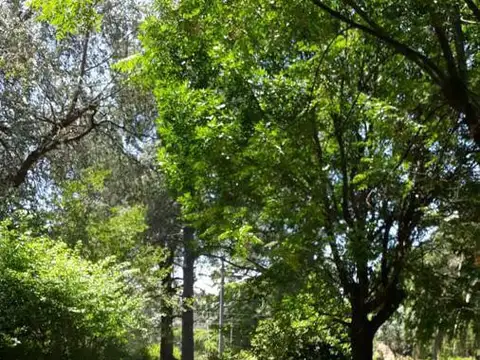 Los Caldenes Esquina Santa Elena