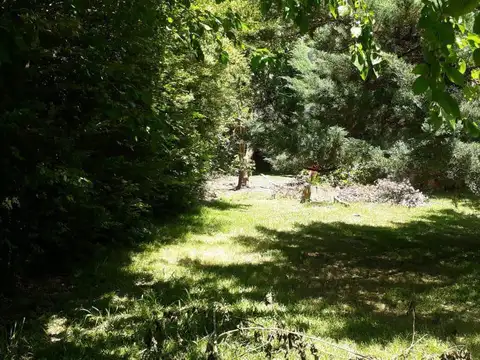 Terreno en Venta de 220,0 m2
