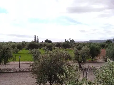 Lote esquina en venta en Olivos de Furlotti