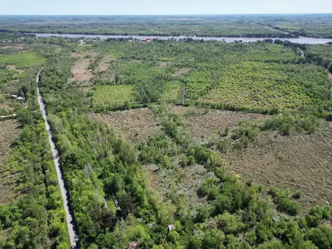 Terreno sobre ruta 25 con salida al rio