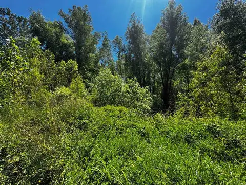 Terreno en Venta de 30000,0 m2