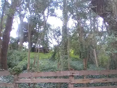 304 e/ alamedas 206 y 207