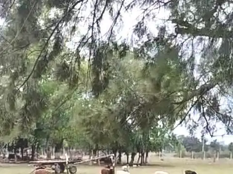 Lote a la venta en General Rodriguez