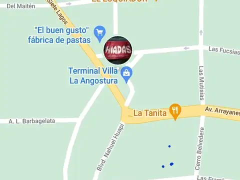 Las Fucsias 100, Piso Pb