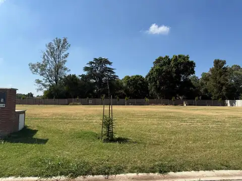 av constitucion 700, Piso 0