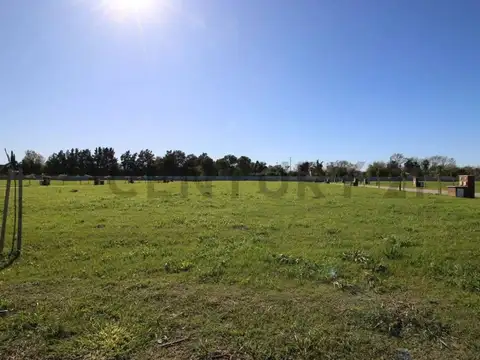 av constitucion 700, Piso 0