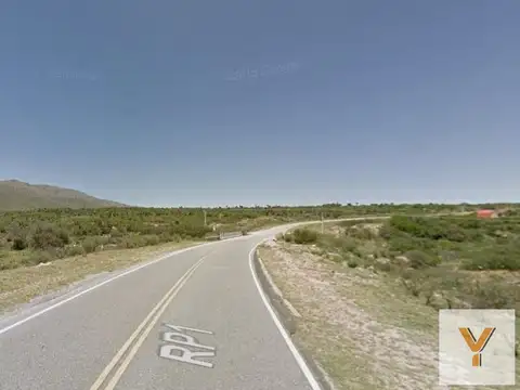 Terrenos en venta - 1.666Mts2 - Papagayos, San Luis