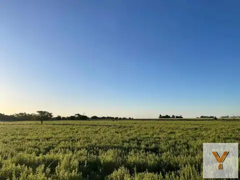 Terreno en venta - 10.000Mts2 - San Antonio de Areco