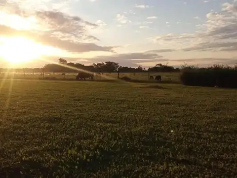 Terreno en Venta en Villa Lia, USD 180.000