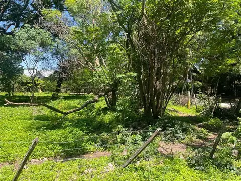 Terreno en Venta 43  mts Fondo