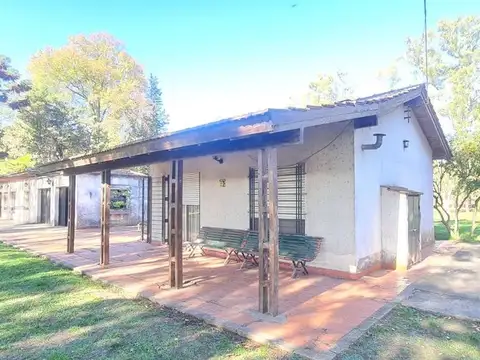 VENTA CAMPO EN PILAR, OPORTUNIDAD. 4 HECTAREAS.
