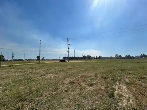 Lote - Finca Joven - Venta - San Vicente 700m2