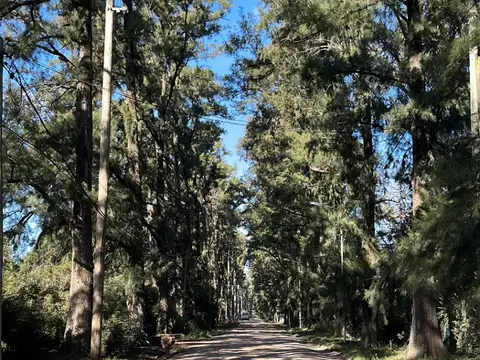 Terreno / Lote en venta de 400m2 ubicado en Tortuguitas