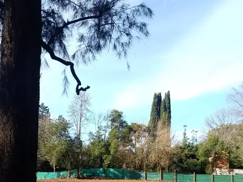 Terreno en Venta 39  mts Frente