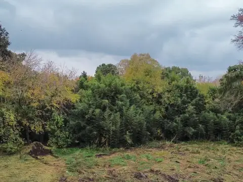 Terreno en Venta 8  mts Fondo