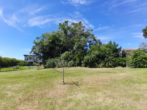 Terreno en Venta 35  mts Fondo