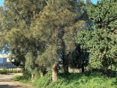 VENTA DE TERRENO EN ESQUINA EN EL CHORRO 534 M2