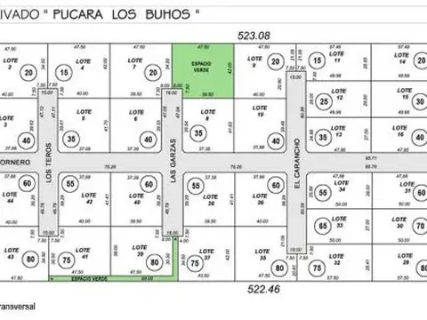 Avenida Central Alberdi y Los Eucaliptus