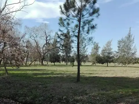 Terreno en Venta de 1045,0 m2