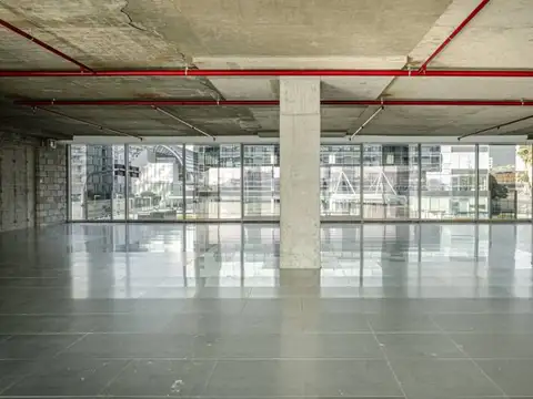Cecilia Grierson 300, Piso 1