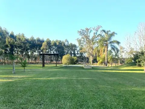 30Ha Campo con forestación y Casa