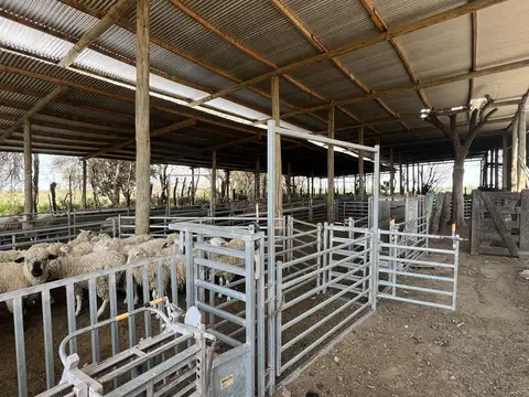 9 Has. Chacra en Capilla del Señor