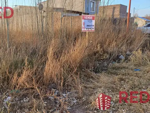 Terreno en Venta 29  mts Fondo
