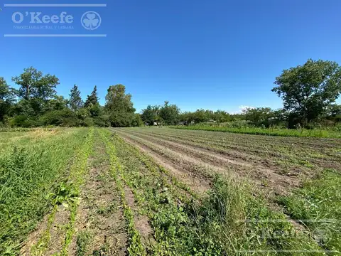 2 has en El Pato, Berazategui