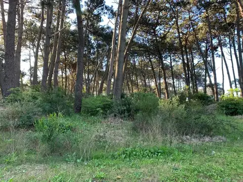 Terreno en Venta 59,70  mts Fondo