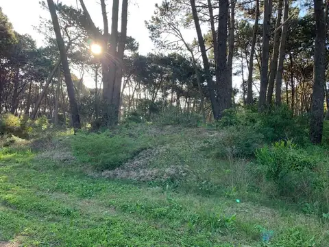 Terreno en Venta en Rincón del Indio, USD 350.000