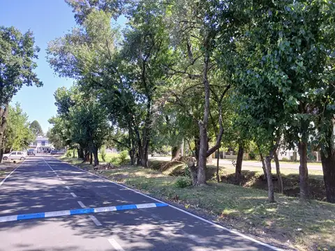 Terreno en De Vicenzo Grande excelente ubicación en venta